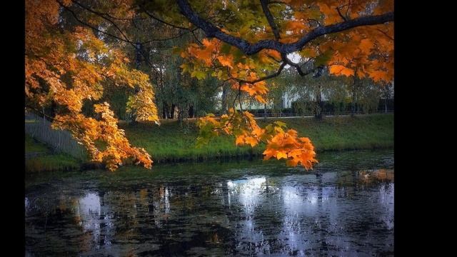 "ПОСЛЕДНЯЯ ВСТРЕЧА"... (Фото Дианы Буглак-Диковицкой (Минск) - Поёт Анна Герман) смотреть онлайн