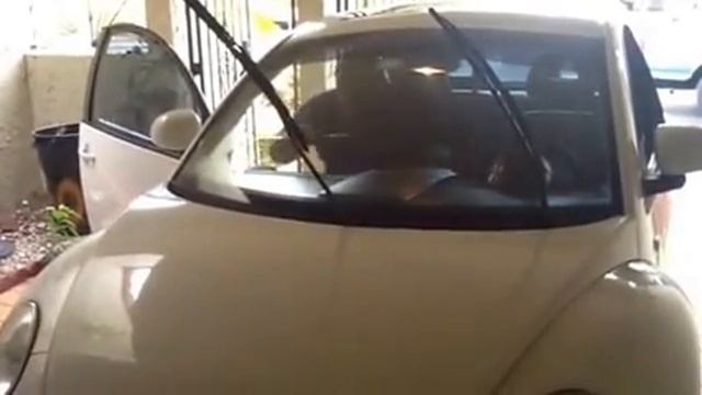 USA AUTO GLASS MASTERS - Replace A Windshield Glass - MIAMI