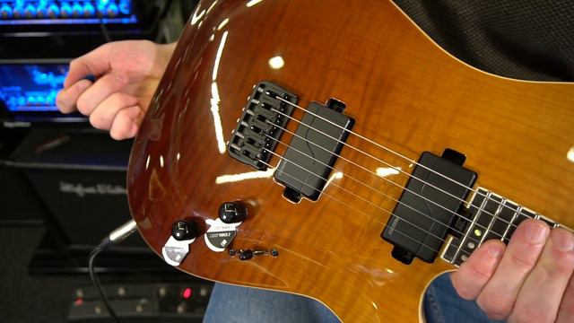 SCHECTER C 1 ELITE SLS FESTE BRÜCKE E-GITARRE MUSIKHAUS KNOPP SAARBRÜCKEN смотреть онлайн