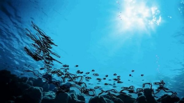 Learn Sea Animals Names And Sounds | Real Sea Animals For Kids