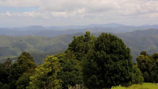 The Great Koala National Park смотреть онлайн