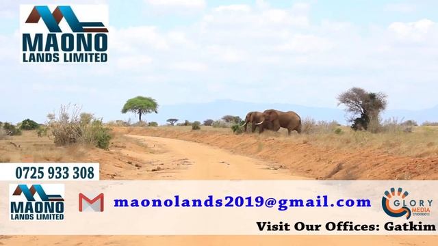 MALINDI UNFORGETTABLE SITE VISIT EXPERIENCE. смотреть онлайн