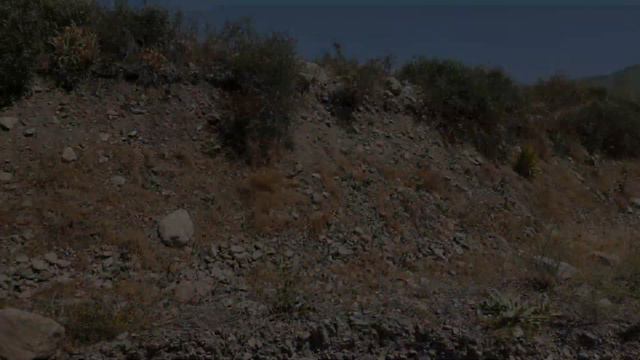 Каменная красота 12 смотреть онлайн