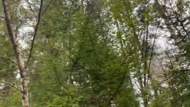 Вторая грибная волна смотреть онлайн