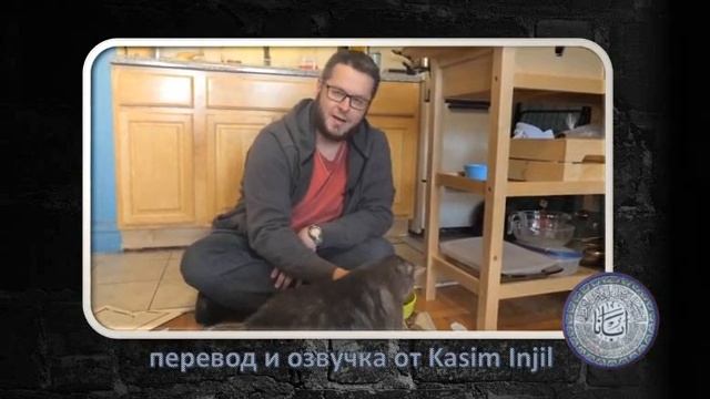 Разоблачение - Кошки Не Наступают на Коран - Часть 2 (Давид Вуд) смотреть онлайн