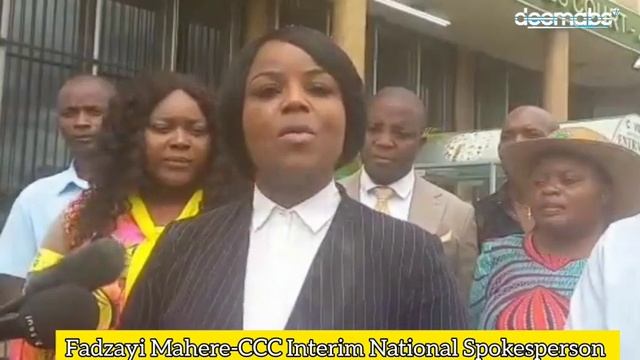 Fadzayi Mahere gives Update On the Budiriro 25 Bail Hearing At Rotten Row Courts смотреть онлайн