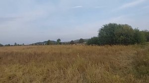 электропастух  в деле как он работает наглядный пример