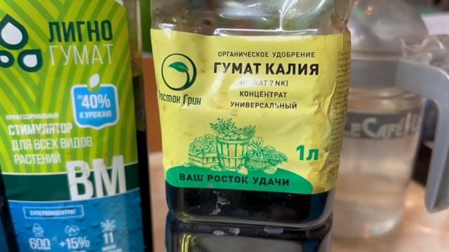 Любая рассада толстеет на глазах, это лучшее удобрение после всходов и пикировки смотреть онлайн