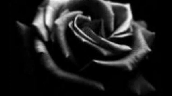 Sezen Aksu - GIT - Leave ( English Subtitles ).flv