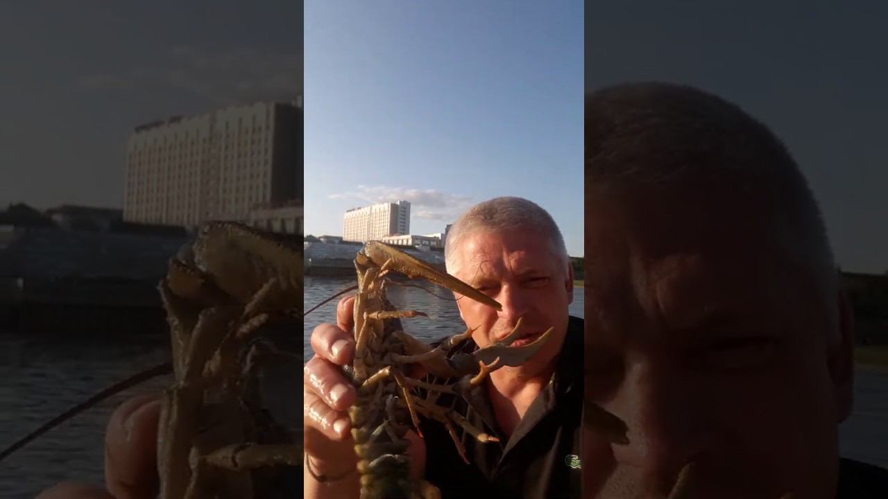 Ловим раков, крутая рыбалка. #Shorts смотреть онлайн