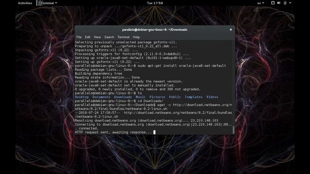 Instalar Java8 y Netbeans 8.2 en Debian смотреть онлайн