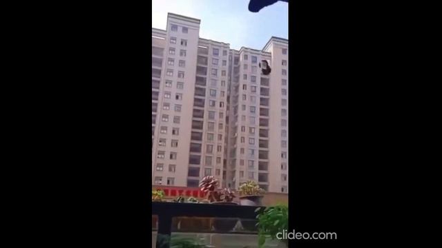 утро 09.09 1 смотреть онлайн