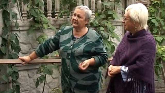 Дачные советы 30.09.16. Выращиваем двухметровую малину смотреть онлайн