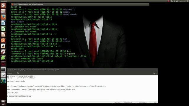 SQL Server 2017 sqlcmd installation on ubuntu (linux) смотреть онлайн
