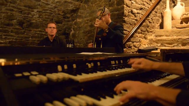 Lorenzo Petrocca ORGAN TRIO "myna bird blues" смотреть онлайн