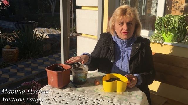 ВЫГОНКА ТЮЛЬПАНОВ К ВЕСЕННИМ ПРАЗДНИКАМ !!! смотреть онлайн