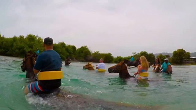 Chukka Tours Horseback and Swim, Jamaica Ocho Rios смотреть онлайн