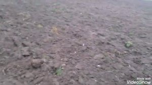 Поиск монет с прибором АКА кондор 3М в Токмакском районе Запорожской обл