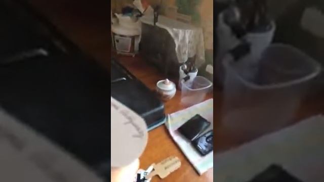 Не разбуди бабушку смотреть онлайн