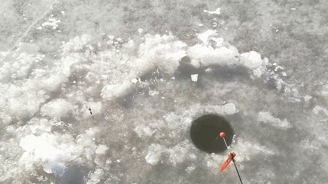 ТАВРИЧАНКА открытие подлёдной рыбалки