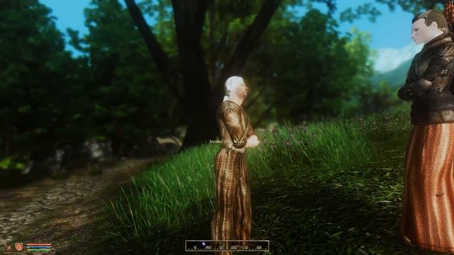The Elder Scrolls IV - Oblivion - Max Difficulty (100%) - Part 7 - The Road to Bravil смотреть онлайн