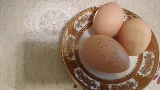 Индюшка снесла первое яйцо//когда занесется Бронза 708//какие яйца у меня индеек
