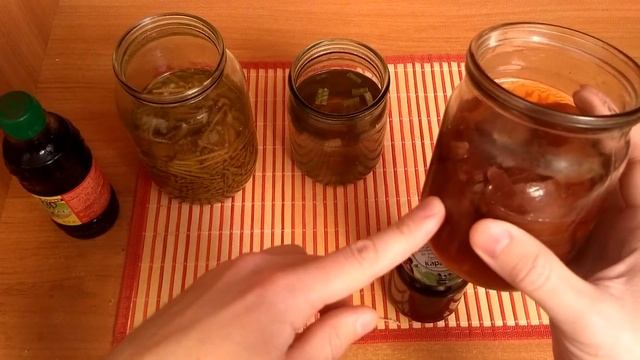 ЛУЧШИЙ БИОСТИМУЛЯТОР РОСТА ДЛЯ СЕМЯН И РАССАДЫ! смотреть онлайн