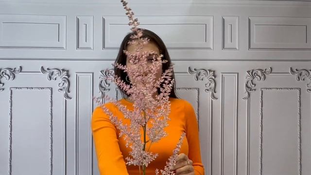 Купить цветы Астильбы #2 на FlowBeri ru смотреть онлайн