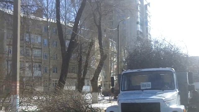 Это не вырубка деревьев, а санитарная обработка? Уральск. смотреть онлайн