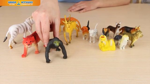 Наборы фигурок животных «Играем вместе» смотреть онлайн