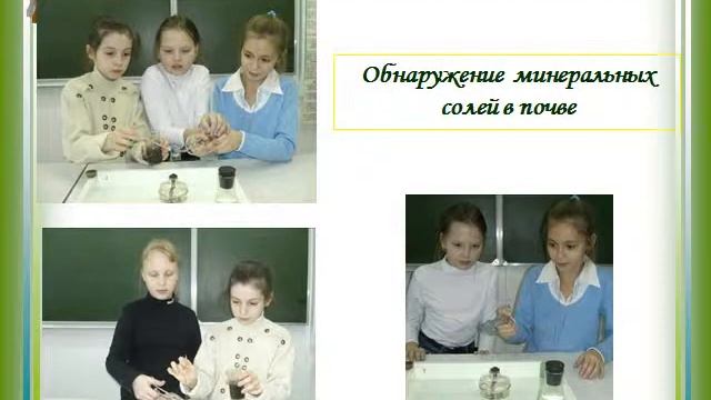 Презентация Изучение процесса испарения воды листьями растений смотреть онлайн