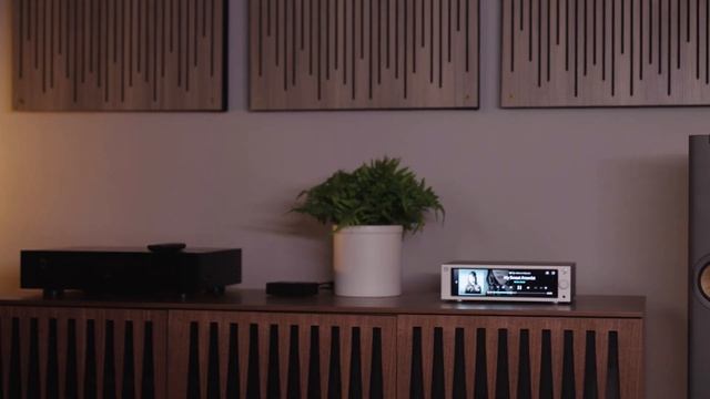 HiFi Rose RS250 high-res audio & 4K network streamer | Crutchfield смотреть онлайн