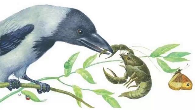 Ворона и Рак | Короткие сказки смотреть онлайн