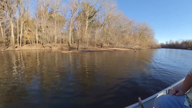 Savanna River - Cut Off #19A - Too many fish? смотреть онлайн