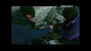 беар грилс выбраться жывым 5