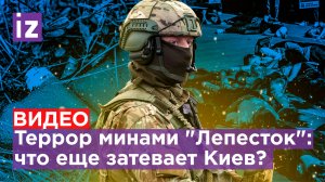 Террор минами «Лепесток»: какие методы борьбы использует ВСУ? Секреты мин / Известия