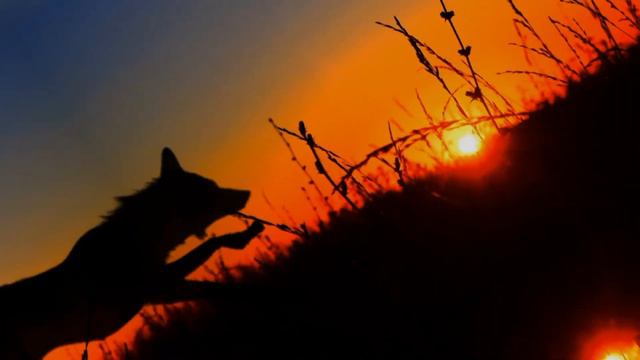 WCMV: after dark [scary images] смотреть онлайн