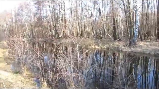 Стихи Татьяны Царенко(Похмелкиной)- ,,Сон,, смотреть онлайн