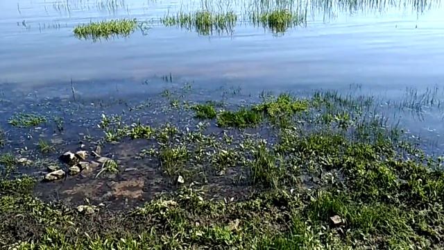 Тандава на берегу