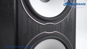 Напольная акустика Monitor Audio Bronze BX 6