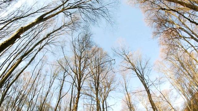 Магнитные бури в апреле 2022 года. Прогноз календарь магнитных бурь на апрель. Опасные дни смотреть онлайн