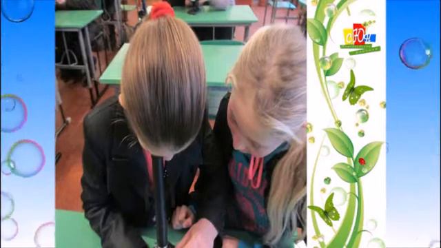 Папоротеподібні смотреть онлайн