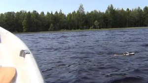 Megabass Vision OneTen 110 (воблеры из моей коробки)