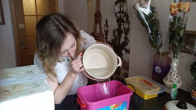 Делаем инкубатор для эублефаров своими руками