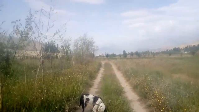 Халид патриот(4) смотреть онлайн