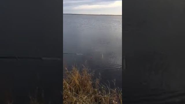 Рыбалка на сало смотреть онлайн