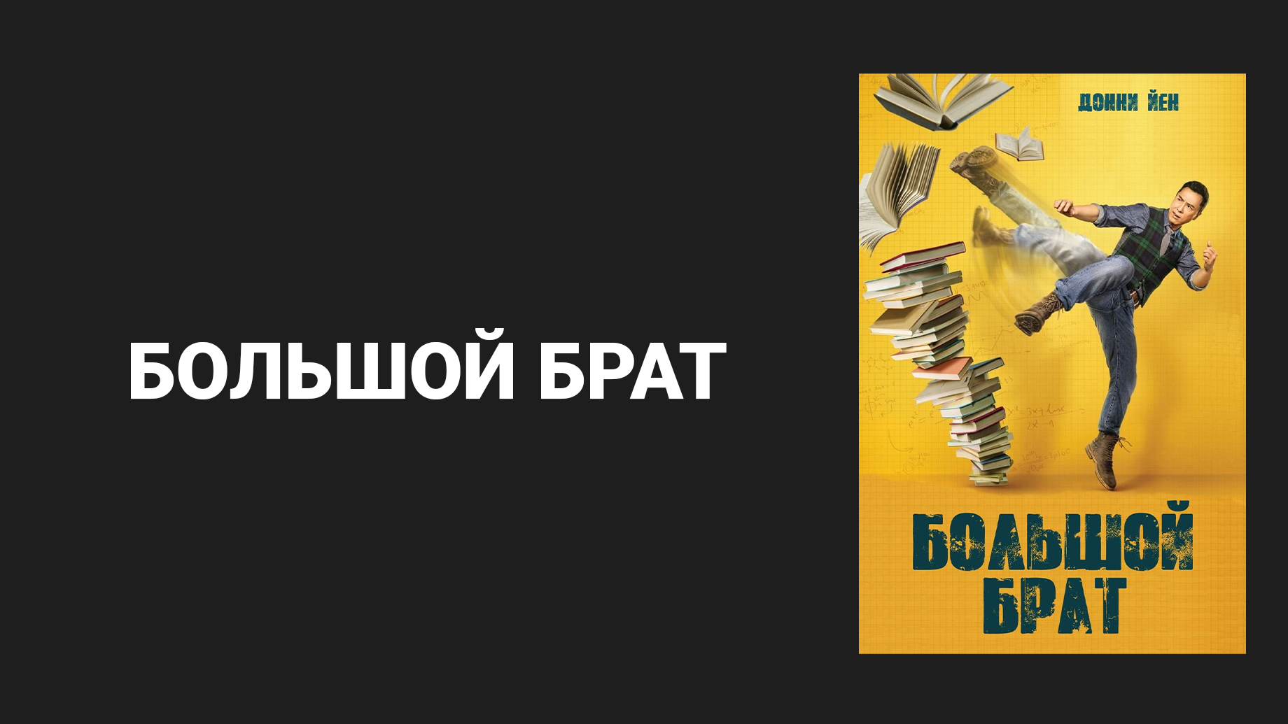 Большой брат (дорама, 2018) смотреть онлайн