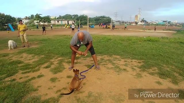 Strategies to deal with Distractions смотреть онлайн