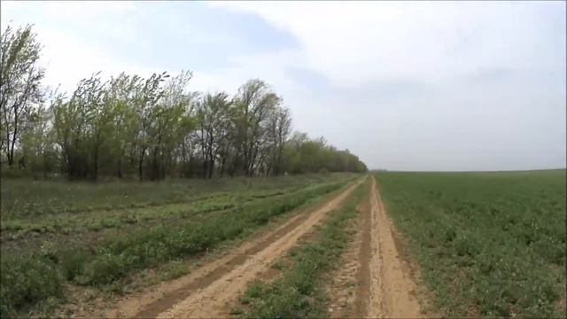 Поездка вдоль бесконечных полей смотреть онлайн