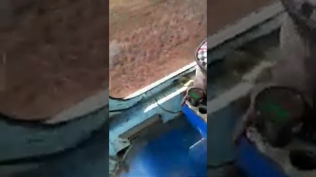 Подача шпагата на Киргизстане смотреть онлайн